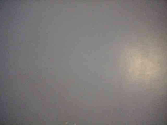 Sweetbooby webcam