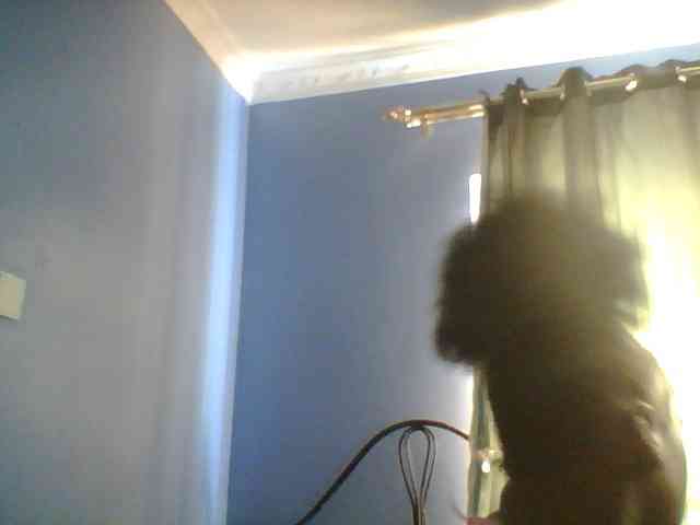 Sweetbooby webcam