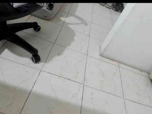 aquiles19 aquiles19