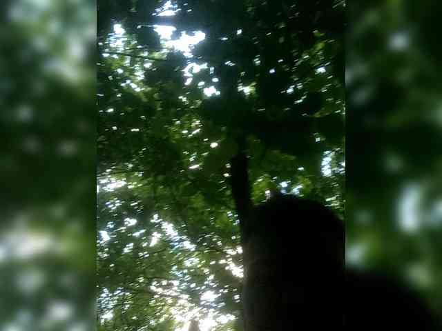 HatyPaJl