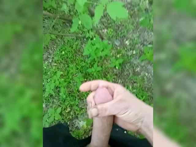 HatyPaJl