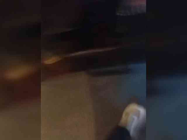HatyPaJl