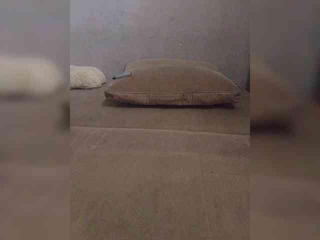 shurshuraY webcam