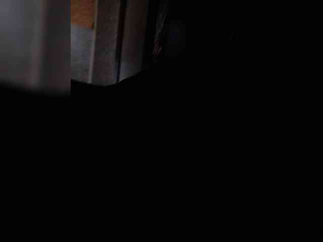 Alex91-2 webcam