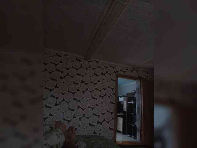 Alex91-2