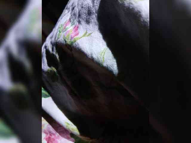 Alex91-2 webcam