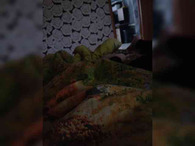 Alex91-2 webcam