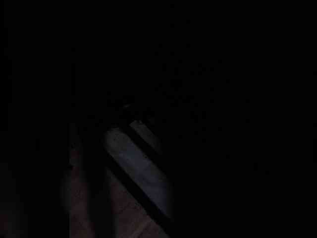 Alex91-2 webcam