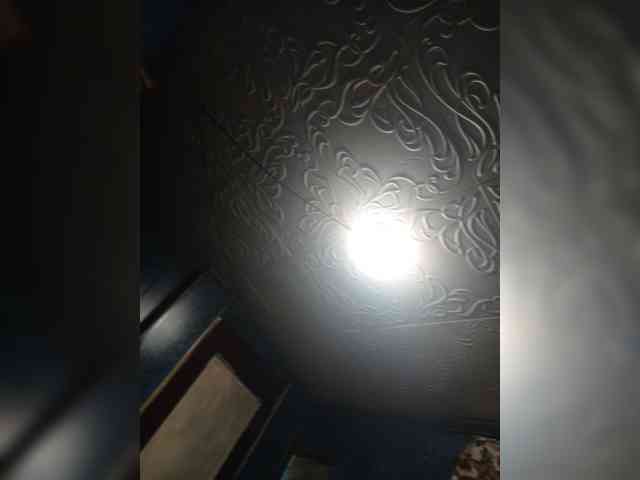 Alex91-2 webcam
