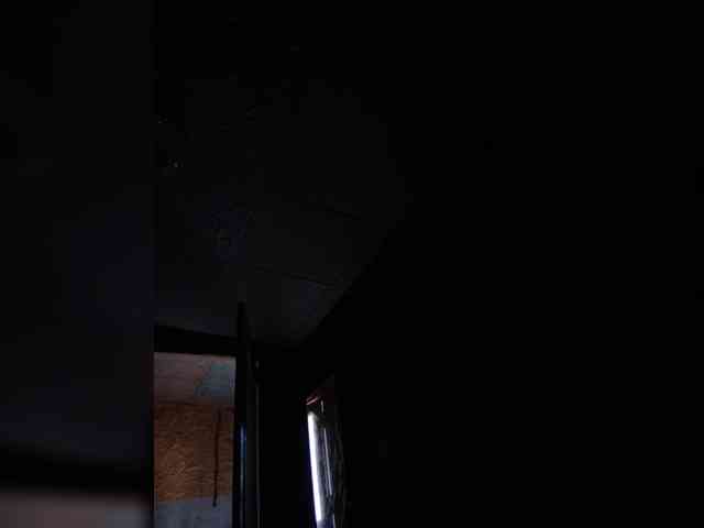 Alex91-2 Sex Cam Show