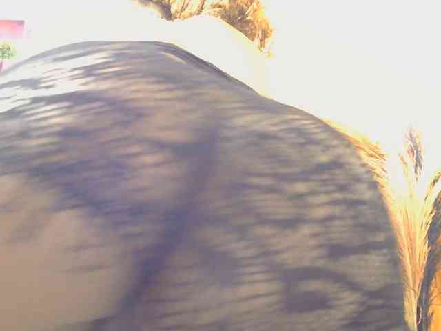 SaucyAngels webcam