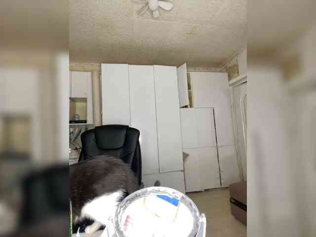 Milanii webcam