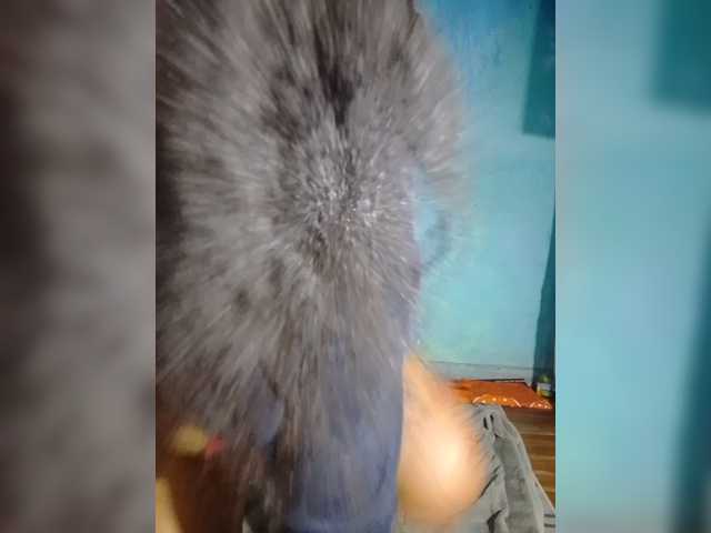 Anisexy