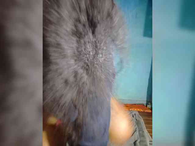 Anisexy webcam