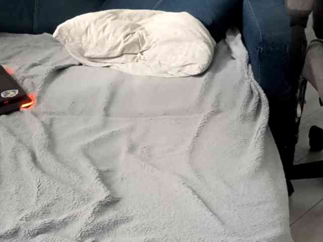 YettaPlanty webcam