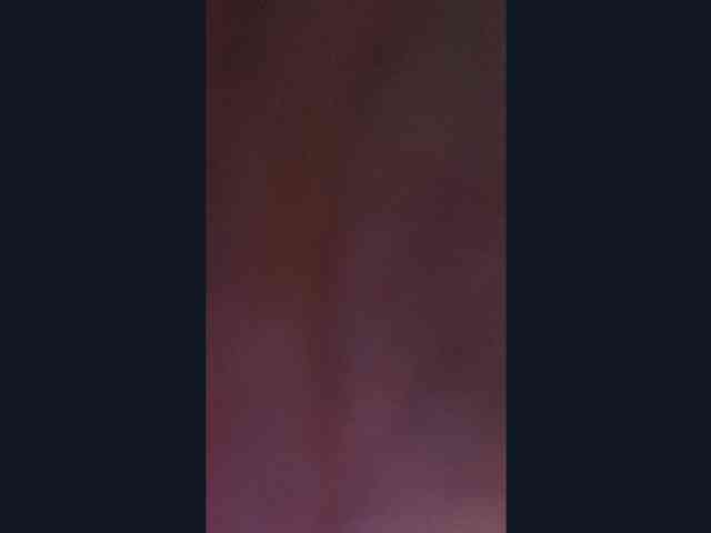 YettaPlanty webcam