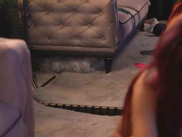 CamillaStarrX - Girl 