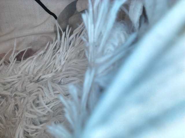 Sexydianaa25 live cam on BongaCams