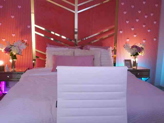LoveeDove
