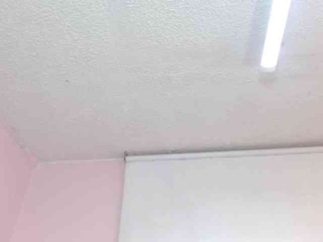 Nezzukoo webcam