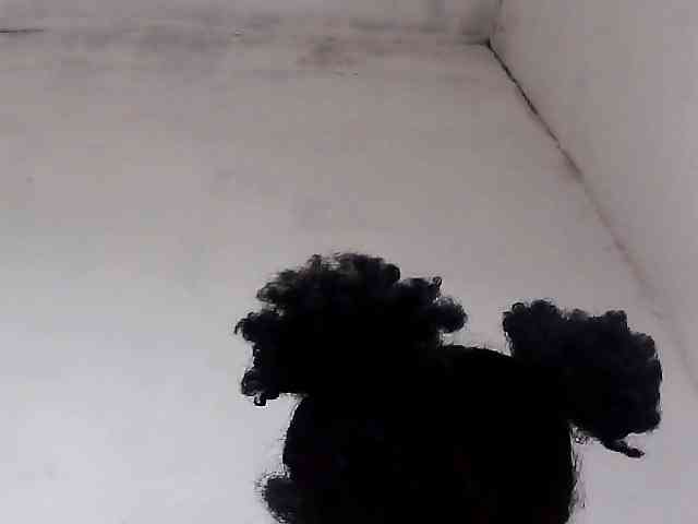 Elinah1 webcam