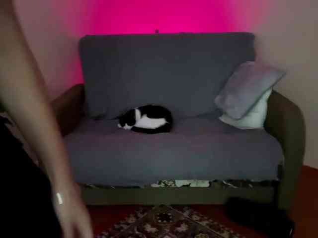 Alyonacuttie webcam