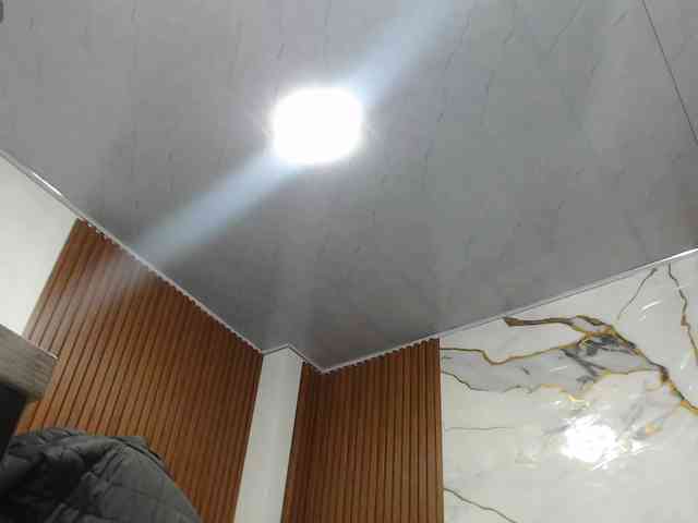 alonddra-tay webcam