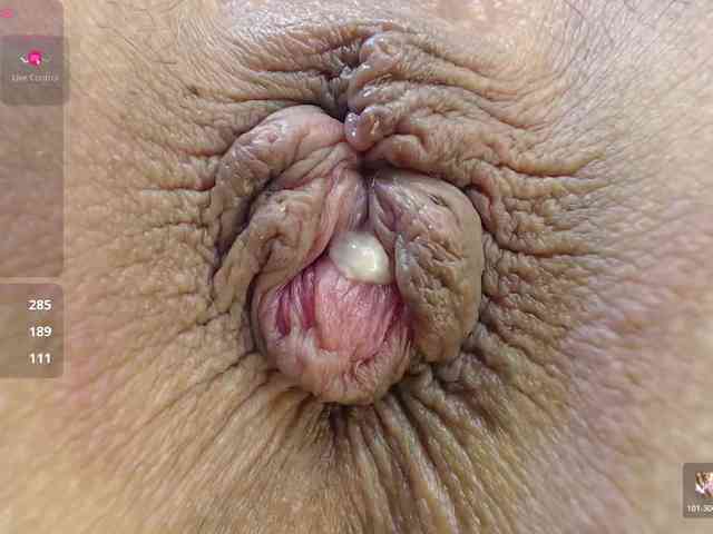 alonddra-tay webcam