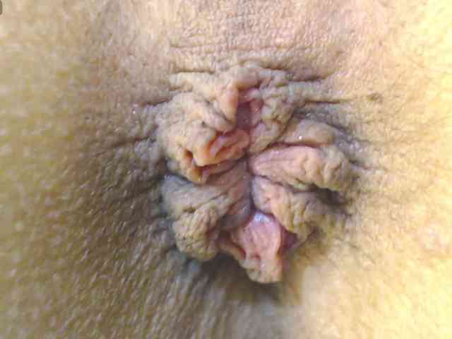 alonddra-tay webcam
