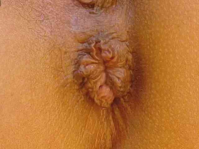 alonddra-tay webcam