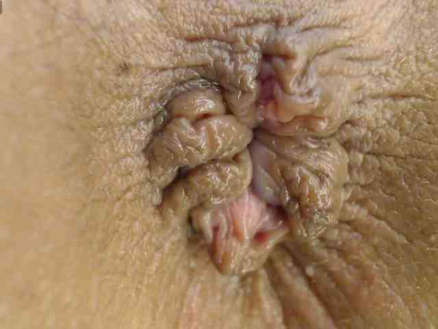 alonddra-tay webcam