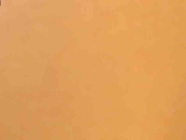 alonddra-tay webcam