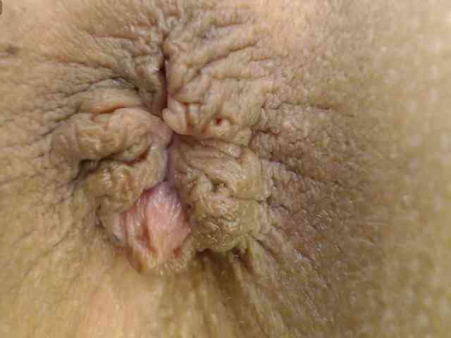 alonddra-tay webcam