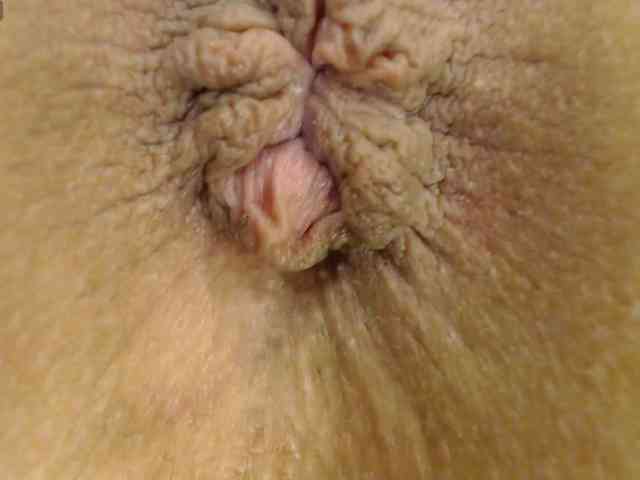 alonddra-tay webcam