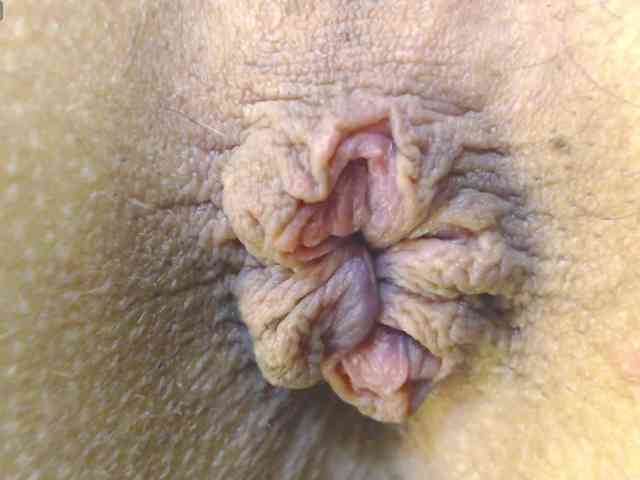 alonddra-tay webcam