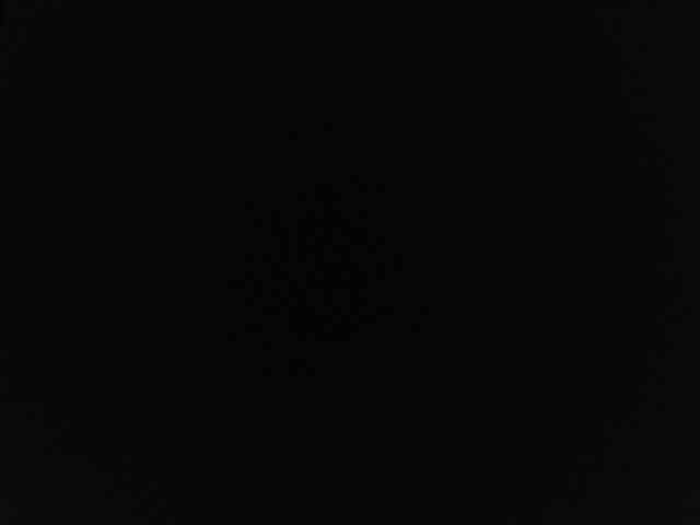 alonddra-tay webcam