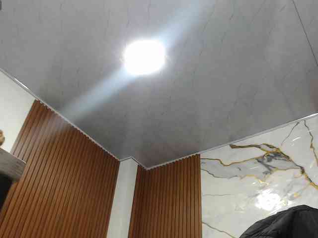 alonddra-tay webcam