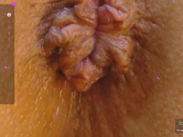 alonddra-tay webcam