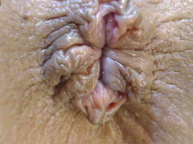 alonddra-tay webcam