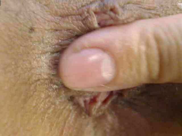 alonddra-tay webcam