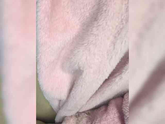 VelvetCherryy webcam