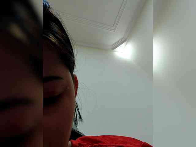 Asrajan webcam
