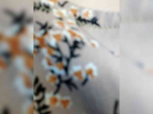 Asrajan webcam
