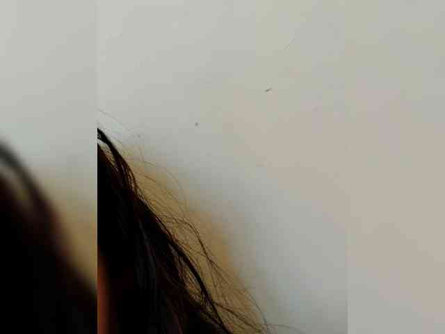 Asrajan webcam