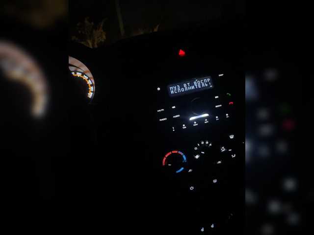 romashki-time