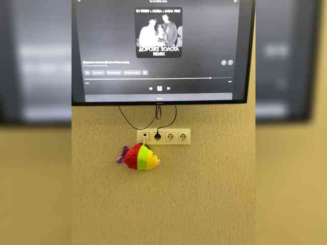 romashki-time webcam
