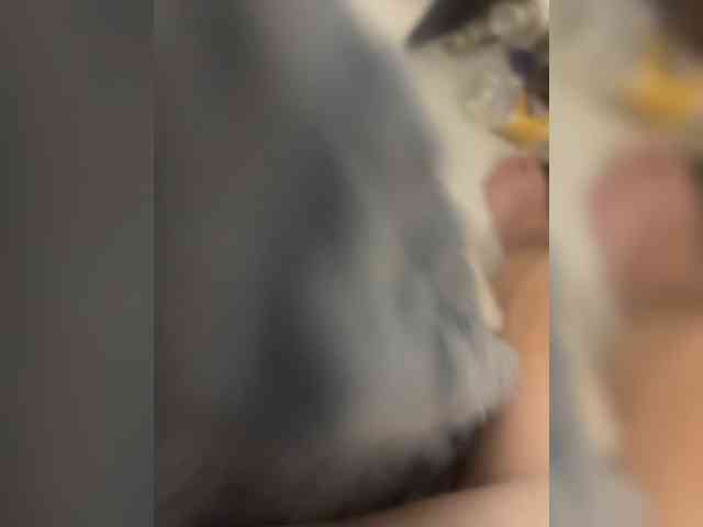 romashki-time webcam