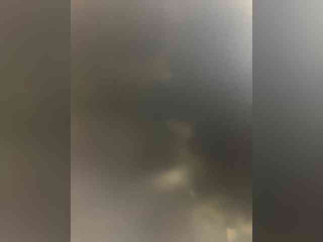 romashki-time webcam