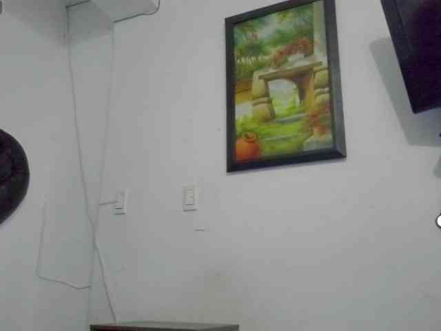dreamyCushioons webcam