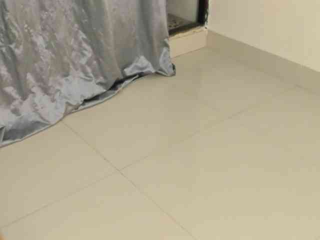 DaliaKhemu webcam